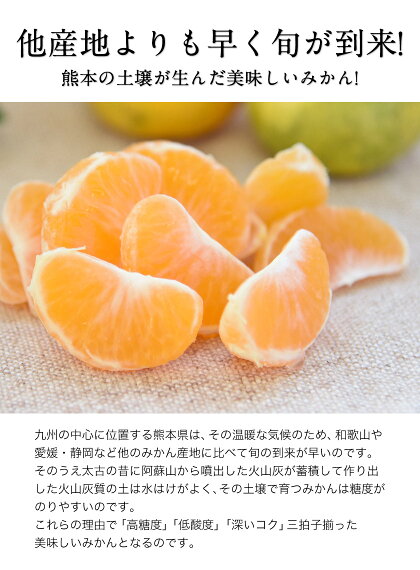 【ふるさと納税】熊本県産大粒熊本みかんたっぷり10kg(3L-Lサイズ)フルーツ秋旬熊本県荒尾市柑橘大玉みかんちょこっと訳あり《7-14営業日以内に順次出荷(土日祝除く)》