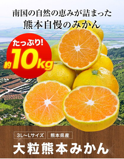 【ふるさと納税】熊本県産大粒熊本みかんたっぷり10kg(3L-Lサイズ)フルーツ秋旬熊本県荒尾市柑橘大玉みかんちょこっと訳あり《7-14営業日以内に順次出荷(土日祝除く)》