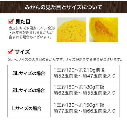 【ふるさと納税】熊本県産大粒熊本みかんたっぷり10kg(3L-Lサイズ)フルーツ秋旬熊本県荒尾市柑橘大玉みかんちょこっと訳あり《7-14営業日以内に順次出荷(土日祝除く)》