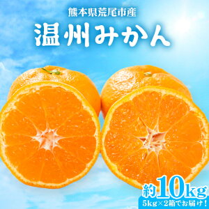 みかん 10kg 送料無料の人気商品 通販 価格比較 価格 Com みかん 10kg 送料無料の人気商品 通販 価格比較 価格 Com