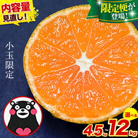 【ふるさと納税】訳あり みかん 小玉 ひとくちもぎたてみかん 約 5kg 約 8kg 約 10kg 約 12kg 他 定期便 《9月-12月出荷予定》 S-3Sサイズ 訳あり ご家庭用 熊本県産 期間限定 フルーツ 果物 旬 みかん 大玉みかん 不知火