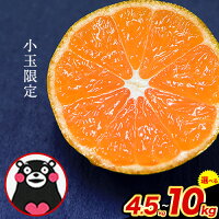 【ふるさと納税】訳あり みかん 小玉 ひとくちもぎたてみかん 約 4.5k...