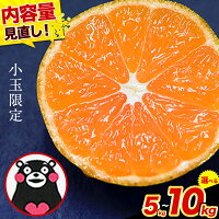 【ふるさと納税】先行予約 訳あり みかん 小玉 ひとくちもぎたてみかん 約...