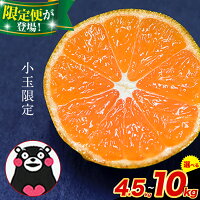 【ふるさと納税】訳あり みかん 小玉 ひとくちもぎたてみかん 約 4.5k...