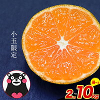 【ふるさと納税】訳あり みかん 小玉 ひとくちもぎたてみかん 約 2kg ...