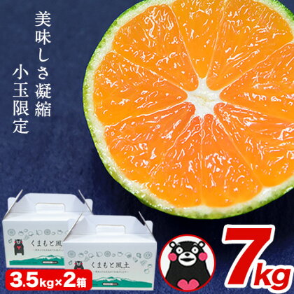 22年10月 ふるさと納税のみかんおすすめランキングtop10 マイナビふるさと納税 22年10月 ふるさと納税のみかんおすすめランキングtop10 マイナビふるさと納税