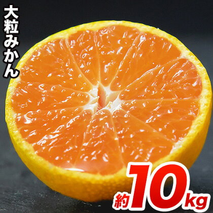 【ふるさと納税】熊本県産大粒熊本みかんたっぷり10kg(3L-Lサイズ)フルーツ秋旬熊本県荒尾市柑橘大玉みかんちょこっと訳あり《7-14営業日以内に順次出荷(土日祝除く)》