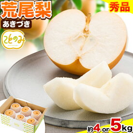 【ふるさと納税】先行予約 梨 秀品 荒尾梨 新ブランド(愛称) 「ことのみ」 あきづき 選べる 約3.5〜4kg 5kg フルーツ 果物 旬 贈答 ギフト《9月上旬-9月中旬頃出荷》熊本県荒尾市産含む JAたまな荒尾梨部会