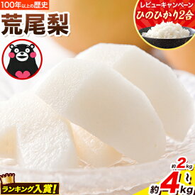 【ふるさと納税】梨 荒尾梨 約2kg または 4kg なし フルーツ 果物 旬 《2025年8月下旬‐11月中旬頃出荷》訳あり 熊本県 荒尾市 旬の梨 幸水 豊水 あきづき 新高 など 合計7種のいずれか（品種指定不可）