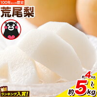 【ふるさと納税】＜ひるおびで紹介されました＞2026年先行予約 梨 荒尾梨...