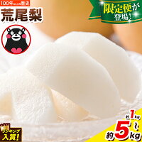 【ふるさと納税】＜ひるおびで紹介＞ 梨 荒尾梨 約1kg 約4kg 約4....
