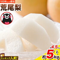 【ふるさと納税】＜ひるおびで紹介＞ 梨 荒尾梨 約4kg 約4.5kg〜5...