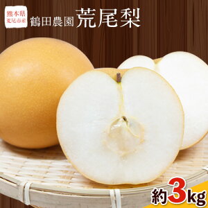 yӂ邳Ɣ[Łz s\  G߂̗ {̕i L Â Ñ ̂ꂩ  2kg 5`6 3kg 6`9 a Ȃ t[c ʕ H { F{ rsY ߓc_s8{-9{oׁt