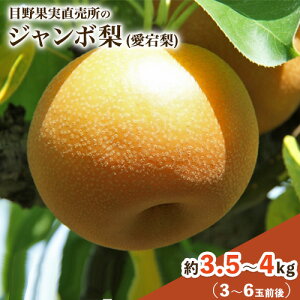 yӂ邳Ɣ[Łz 3.5`4kg(3`6ʑO)  H { Ȃ t[c ʕ VN 퉷ցs11{-12oׁtF{ rsY ږʎ r ʕ