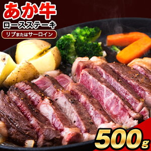 yӂ邳Ɣ[Łziјaj[XXe[L (u܂̓T[C) 250g×2 500g F{Y  a  ԋ  u[X T[C Ⓚs8{-9{oח\t