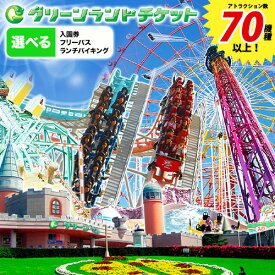 【ふるさと納税】 旅行 チケット 荒尾市 グリーンランド 入園券 フリーパス ランチバイキング セット 選べる 人数 《30日以内に出荷予定(土日祝除く)》 春休み 夏休み 冬休み 入場券 遊園地 テーマパーク グリーンランドリゾート株式会社 レターパック配送 対面受け取り