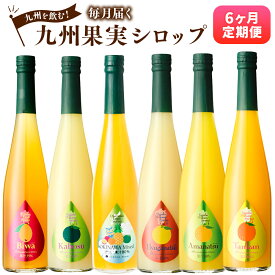 【ふるさと納税】【6ヶ月定期便】 九州を飲む！九州果実シロップ 合計3L 500ml×6回 合計6本 定期便 タンカン たんかん 甘夏 日向夏 カボス 柑橘 パイン シークヮーサー パッションフルーツ びわ フルーツ 果実 果汁 国産 九州 送料無料
