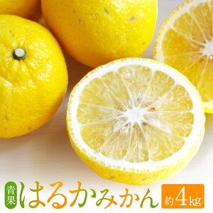 �y�ӂ邳�Ɣ[�Łz�͂邩�݂��� ��4kg �T�C�Y���� ���I�� ������p �݂��� ���� ���k �t���[�c �ʕ� �������� �� ���Y ��B �F�{�� ���������y2026�N2�����{�`4�����{�������\��z