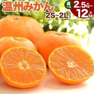 yӂ邳Ɣ[ŁzB݂ 2S`2L Iׂ遄 2.5kg`12kg ݂  k t[c ʕ  F{Y sY y2025N11{-12{\z