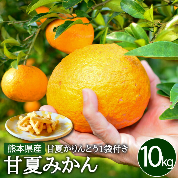 楽天市場 ふるさと納税 甘夏みかん 10kg かりんとう 100g 1袋 セット 栽培期間中 農薬不使用 甘夏 みかん 蜜柑 柑橘 果物 くだもの フルーツ スイーツ お菓子 和菓子 国産 九州産 熊本県産 水俣市産 送料無料 熊本県水俣市 楽天市場 ふるさと納税 甘夏みかん 10kg かりんとう 100g 1袋 セット 栽培期間中 農薬不使用 甘夏 みかん 蜜柑 柑橘 果物 くだもの フルーツ スイーツ お菓子 和菓子 国産 九州産 熊本県産 水俣市産 送料無料 熊本県水俣市