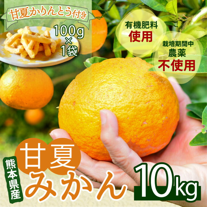 楽天市場 ふるさと納税 甘夏みかん 10kg かりんとう 100g 1袋 セット 栽培期間中 農薬不使用 甘夏 みかん 蜜柑 柑橘 果物 くだもの フルーツ スイーツ お菓子 和菓子 国産 九州産 熊本県産 水俣市産 送料無料 熊本県水俣市 楽天市場 ふるさと納税 甘夏みかん 10kg かりんとう 100g 1袋 セット 栽培期間中 農薬不使用 甘夏 みかん 蜜柑 柑橘 果物 くだもの フルーツ スイーツ お菓子 和菓子 国産 九州産 熊本県産 水俣市産 送料無料 熊本県水俣市