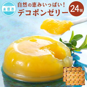 yӂ邳Ɣ[ŁzfR|[[ 130g×24 v3.1kg [[ t[c[[ fR|  XC[c Y BY F{Y sY  yVX[p[SALE 9J