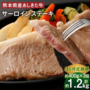 yӂ邳Ɣ[Łzy3ցz јa  T[C Xe[L v1.2kg 400g×3   a   ~  Ⓚ Y B F{  yVX[p[SALE 9