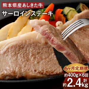 yӂ邳Ɣ[Łzy6ցz јa  T[C Xe[L v2.4kg 400g×6   a   ~  Ⓚ Y B F{ 
