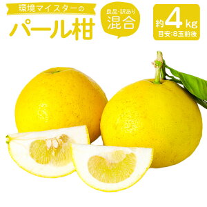 yӂ邳Ɣ[Łz}CX^[̃p[ Ǖi 󂠂  4kg 8ʑO i͔|Ԓ͖엿E_sgpj p[ O[vt[c k ʕ Y BY F{Y ① 