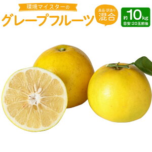 yӂ邳Ɣ[Łz}CX^[ O[vt[c Ǖi 󂠂  10kg 20ʑO i͔|Ԓ͖엿E_sgpj k t[c ʕ Y BY F{Y ① y2026N