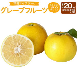 yӂ邳Ɣ[Łz}CX^[̃O[vt[c Ǖi 󂠂  v20kg 10kg×2 20ʑO i͔|Ԓ͖엿E_sgpj k t[c ʕ Y BY F{Y 