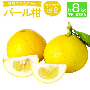 yӂ邳Ɣ[Łz}CX^[̃p[ Ǖi 󂠂  8kg 16ʑO i͔|Ԓ͖엿E_sgpj p[ O[vt[c k ʕ Y BY F{Y ① 