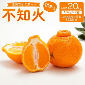 yӂ邳Ɣ[Łz}CX^[̕sm 󂠂 v20kg 10kg×2 32ʑOڈ i͔|Ԓ͖엿E_j sm ݂  ~J k t[c ʕ Y BY F{Y 