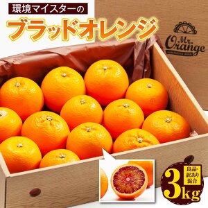 yӂ邳Ɣ[Łz}CX^[̃ubhIW Ǖi 󂠂  3kg TCY }CX^[ ubhIW IW  ^bR _ w엿 ʕ t[c F{