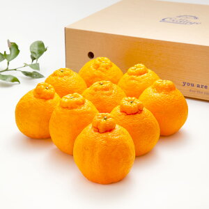 yӂ邳Ɣ[Łz}CX^[̕sm Ǖi 2.5kg 8ʑO ͔|Ԓ 엿E_ sm ~J  ݂ ʕ Y BY F{Y ① y2026N1{-4{