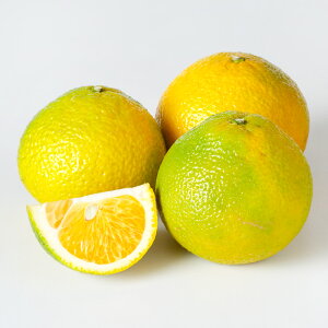 yӂ邳Ɣ[Łz}CX^[̃XC[gXvO Ǖi 󂠂  4kg 20ʑO i͔|Ԓ͖엿E_sgpj XC[gXvO  ݂ ~J k ʕ Y BY