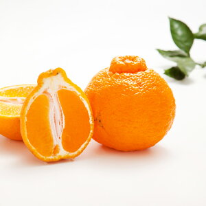 yӂ邳Ɣ[Łz}CX^[̕sm 󂠂 10kg TCY 32ʑO i͔|Ԓ͖엿E_j sm ݂  ~J k t[c ʕ Y BY F{Y ① 