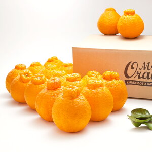 yӂ邳Ɣ[Łz}CX^[̕sm Ǖi 5kg 15ʑO i͔|Ԓ͖엿E_j sm  ݂ ~J ʕ Y BY F{Y ① y2026N1{-4{