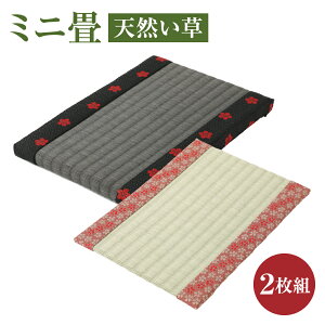 yӂ邳Ɣ[Łz~j VR  2g 18cm×26cm×2cm 1 18cm×26cm×0.7cm 1  CeA    tHgt[ F{Y  yVX[p[SALE 9J