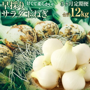 yӂ邳Ɣ[Łzy3ցzy2026N2{菇JnzyV[YԂ3񂨓͂(F2026N2E3E4)zF{ sY ̂T_ʂ˂(DiETCY) 2