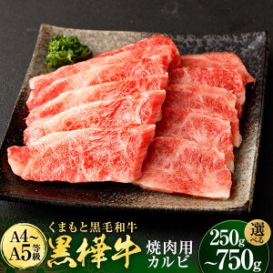 yӂ邳Ɣ[ŁzeʂIׂ遄  ēp Jr 250g`750g ܂ƍјa a   јa ē Ă BBQ Y BY F{Y Ⓚ  yVX[p[SALE 9J