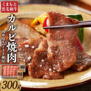 yӂ邳Ɣ[Łz܂ƍјa Jrē 300g pXpCX2t  a   ē BBQ o[xL[  XpCX Zbg Y B F{  yVX[p[SALE 9J