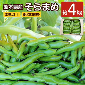 【ふるさと納税】そらまめ 約4kg 3粒以上 80本前後 そら豆 ソラマメ 空豆 野菜 やさい ベジタブル ゆでまめ おつまみ 国産 九州産 熊本県産 水俣市産 送料無料【2024年4月上旬発送開始】