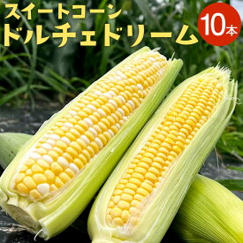 【ふるさと納税】スイートコーン ドルチェドリーム 約4.5kg(10本) とうもろこし トウモロコシ 野菜 やさい ベジタブル メロンより甘い 生でも食べられる 朝獲れ 新鮮 冷蔵 国産 九州産 熊本県産 水俣市産 送料無料【2024年6月上旬より順次発送】