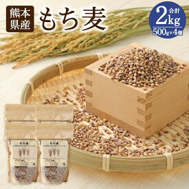 【ふるさと納税】もち麦 500g×4個 計2kg セット 麦 ダイシモチ 食物繊維 純国産 熊本県産 水俣市産 送料無料