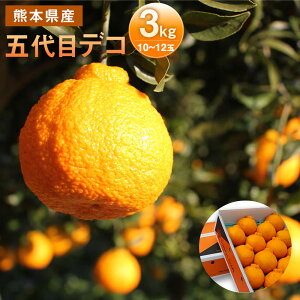 yӂ邳Ɣ[ŁzܑڃfR 3kg (2L`3LF10ʁ`12) fR| sm BY F{Y ʕ ݂ k y2026N2{-6{z yVX[p[SALE 9J