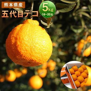yӂ邳Ɣ[ŁzܑڃfR 5kg 2L`3L 18ʁ`20 fR| sm BY F{Y ʕ ݂ k y2026N2{-6{z yVX[p[SALE 9J