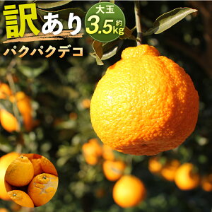 yӂ邳Ɣ[ŁzpNpNfR 3.5kg 󂠂  sm  o ƒp BY F{Y ʕ ݂ k y2026N2{-6{z yVX[p[SALE 9J