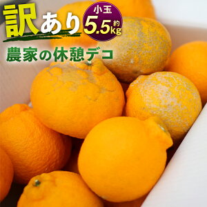 yӂ邳Ɣ[Łz_Ƃ̋xefR 5.5kg 󂠂  sm  o ƒp BY F{Y ʕ ݂ k y2026N2{-6{z yVX[p[SALE 9J