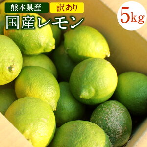 yӂ邳Ɣ[ŁzY 󂠂 5kg Fؓʍ͔| F{Y   EG ʏ` ƒp  t[hX  k BY Y h܁EbNXsgp 